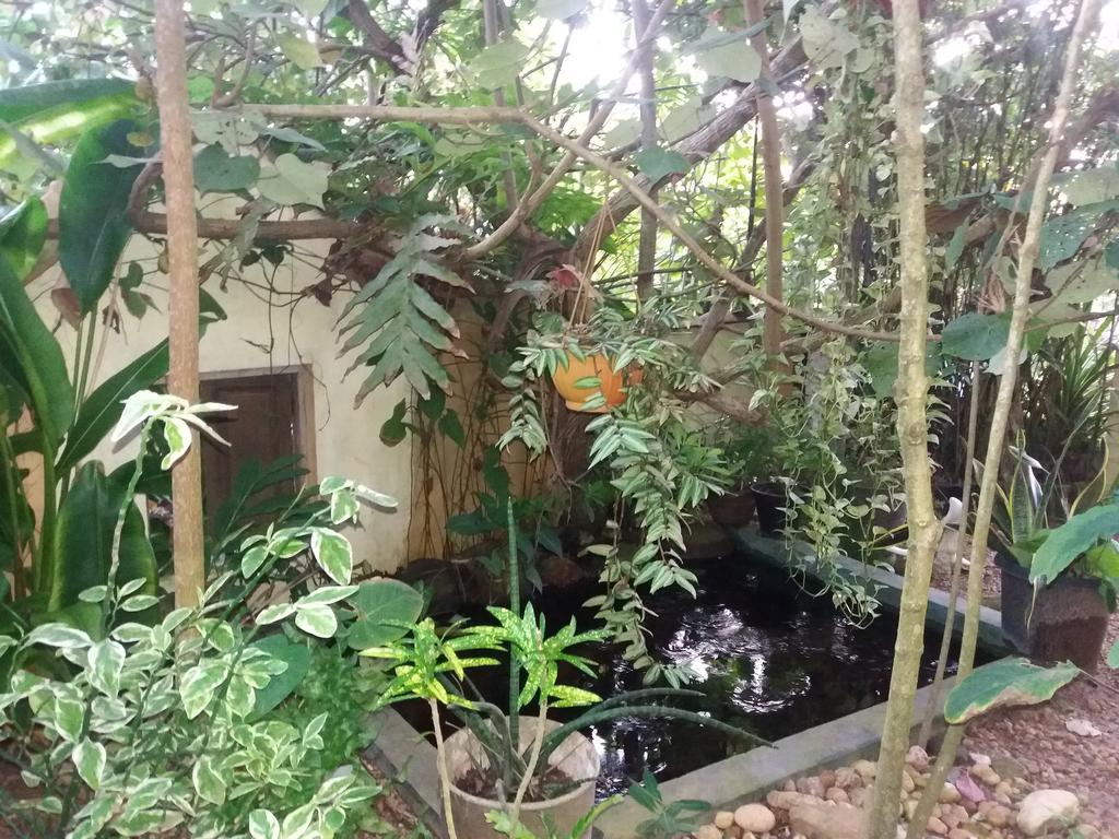 Peacock Wings Guest Hotel Mirissa Ngoại thất bức ảnh