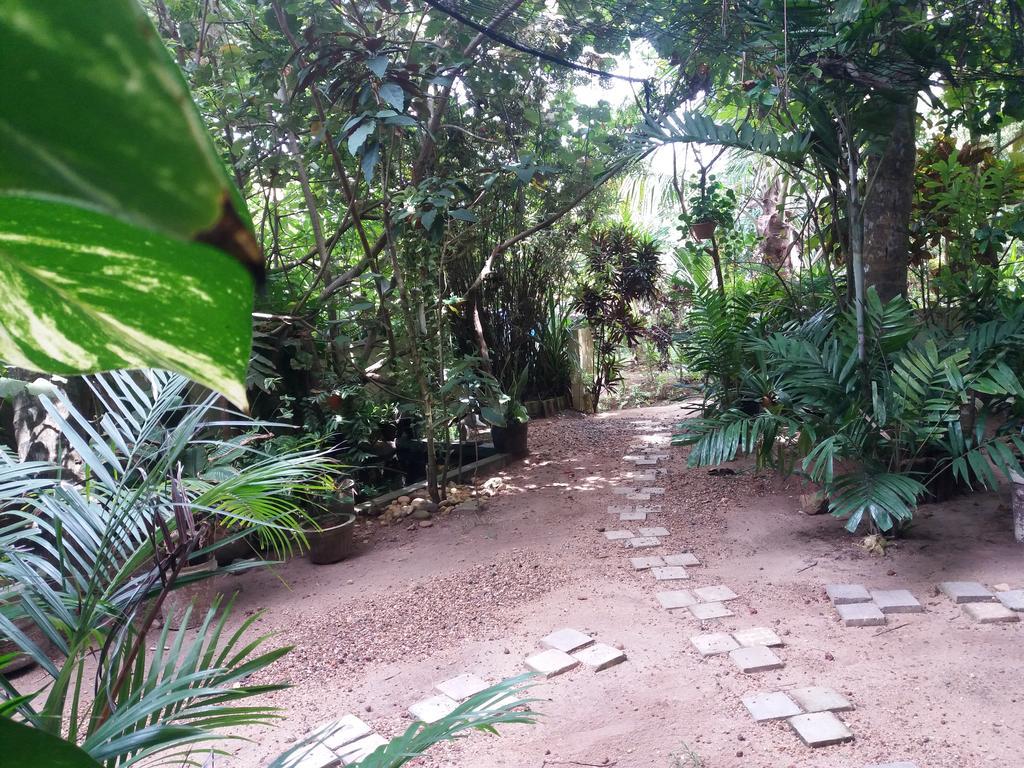 Peacock Wings Guest Hotel Mirissa Ngoại thất bức ảnh