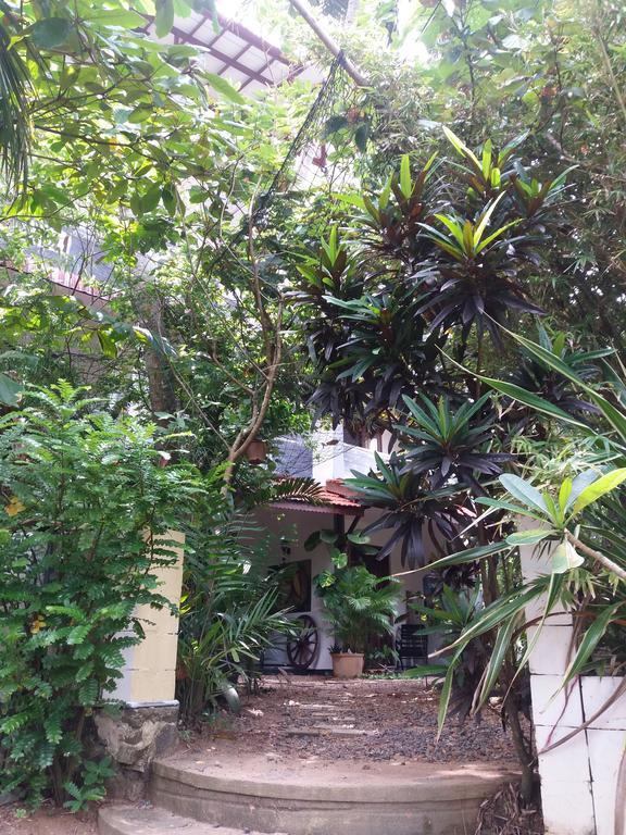 Peacock Wings Guest Hotel Mirissa Ngoại thất bức ảnh
