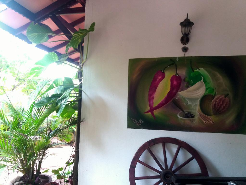Peacock Wings Guest Hotel Mirissa Ngoại thất bức ảnh