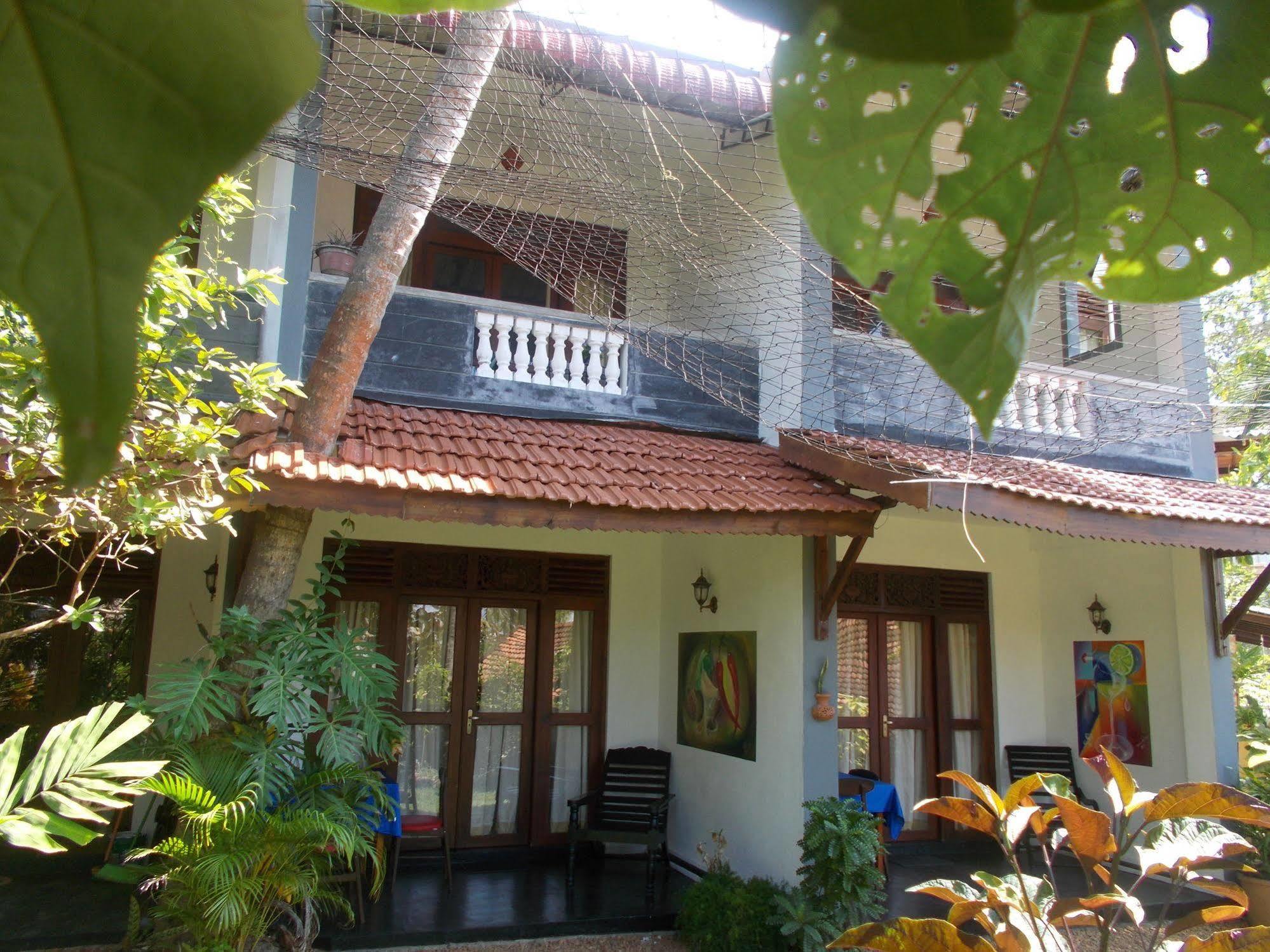 Peacock Wings Guest Hotel Mirissa Ngoại thất bức ảnh