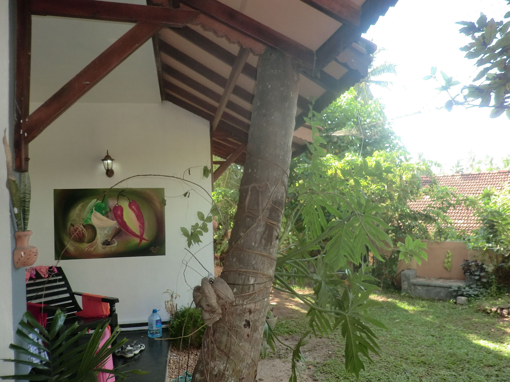 Peacock Wings Guest Hotel Mirissa Ngoại thất bức ảnh