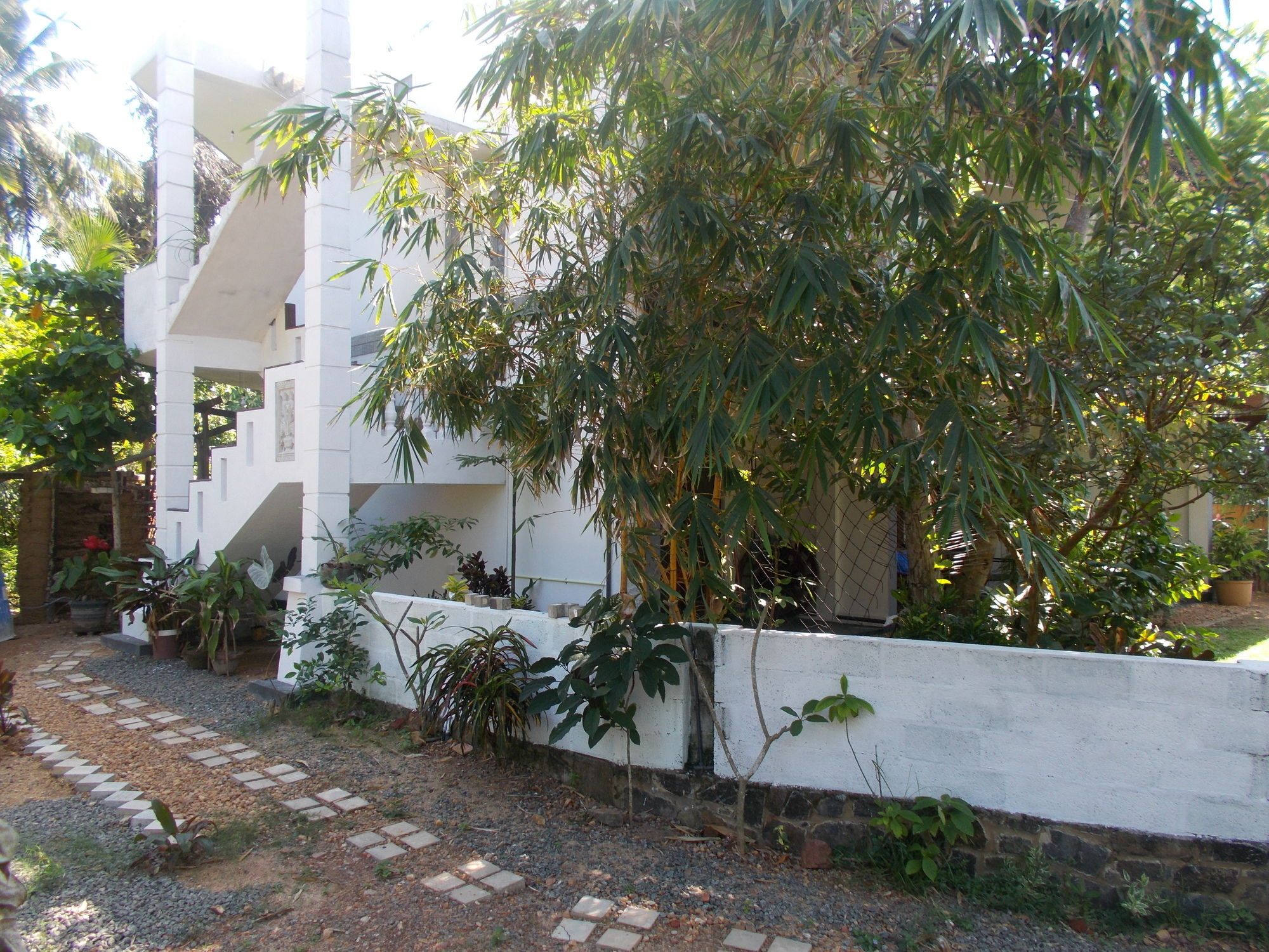 Peacock Wings Guest Hotel Mirissa Ngoại thất bức ảnh