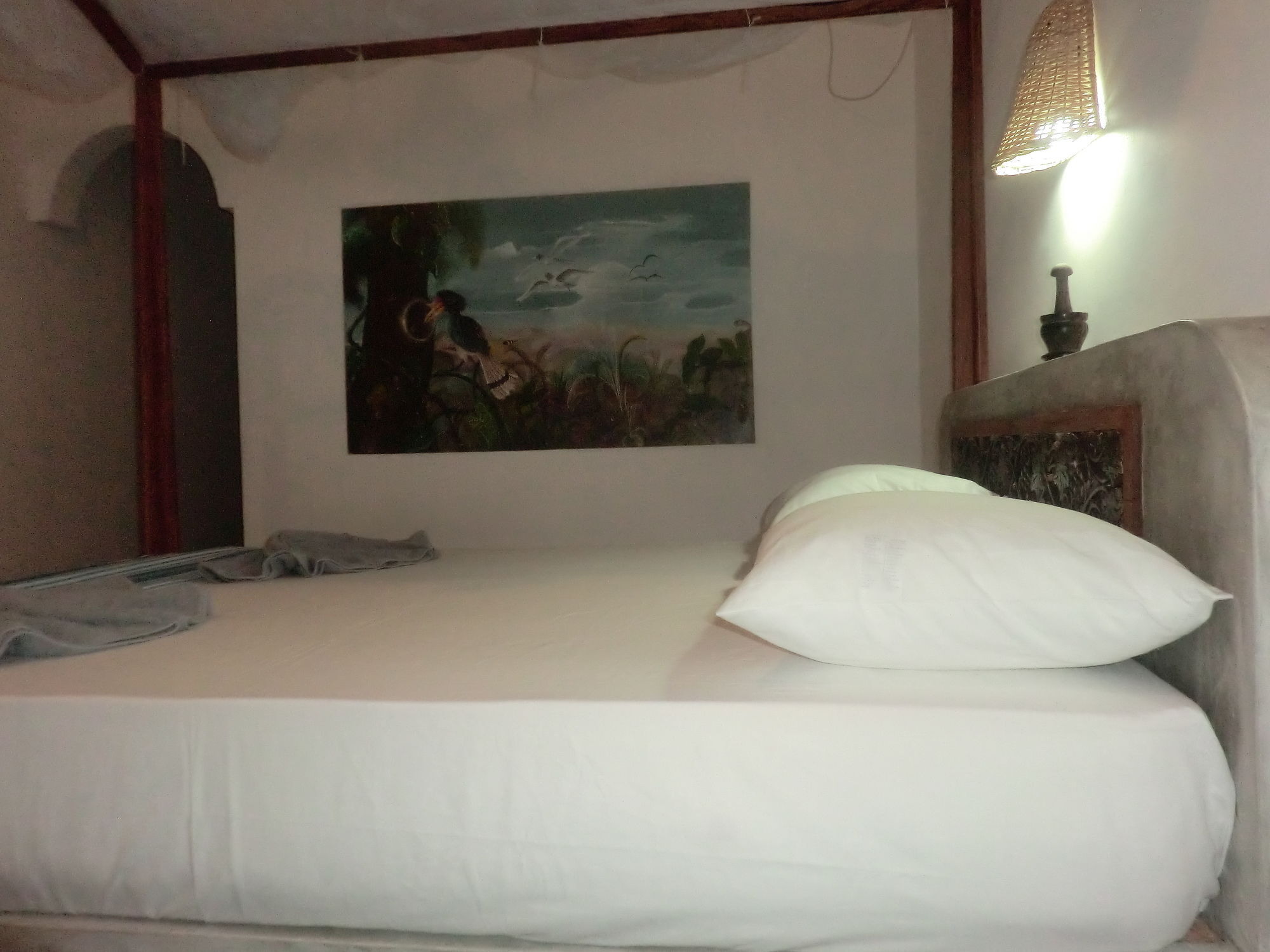 Peacock Wings Guest Hotel Mirissa Ngoại thất bức ảnh
