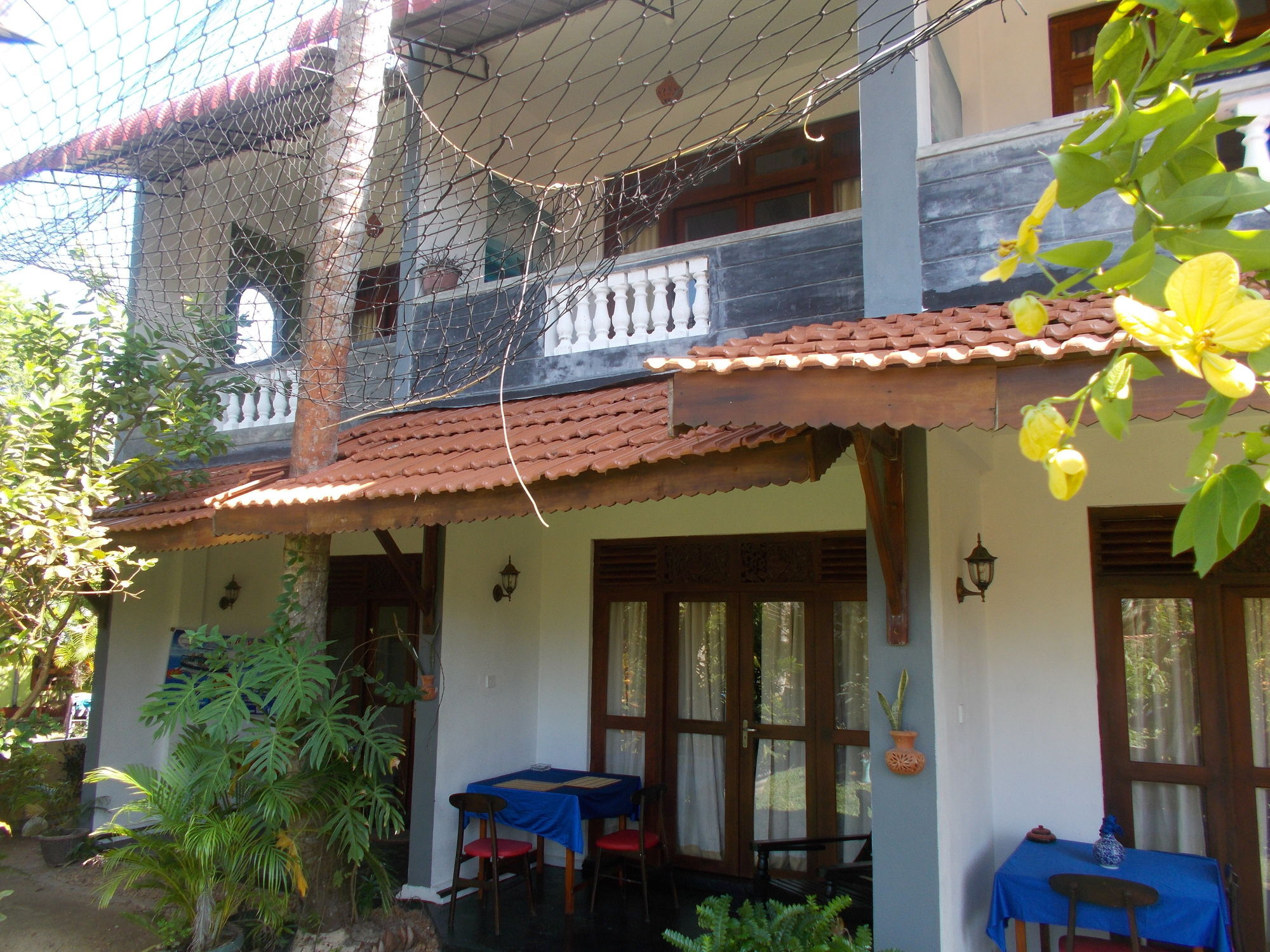 Peacock Wings Guest Hotel Mirissa Ngoại thất bức ảnh